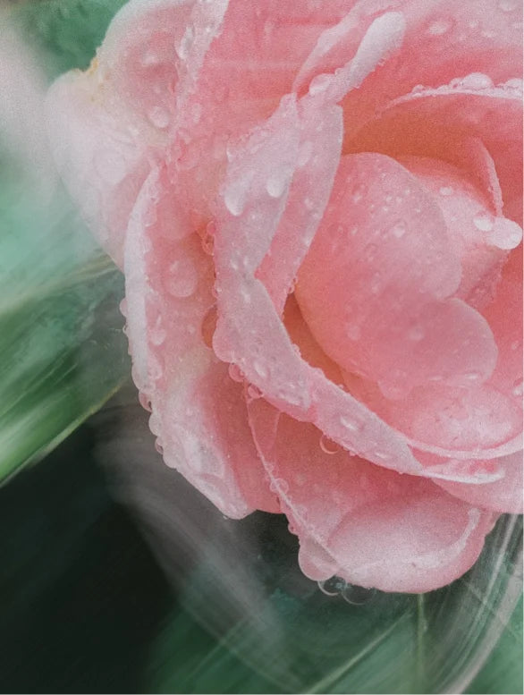 Minerale zonnebrandcrème SPF30 voor gezicht en lichaam, zonder tint