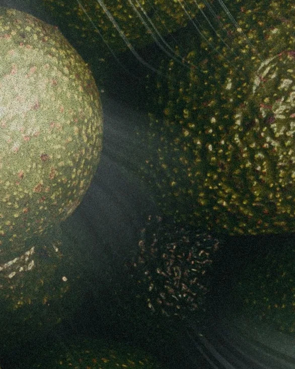 Vitamine Radiance Olie