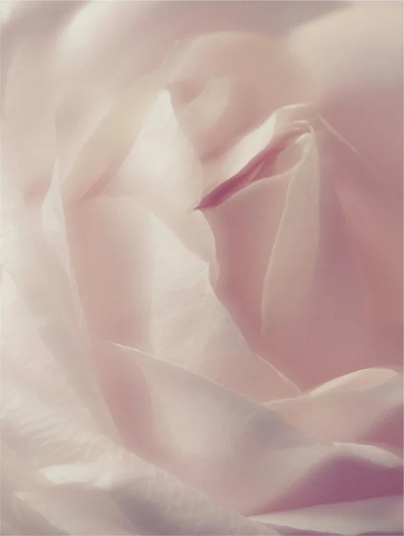 Rosewater Bliss Mousse Reiniger