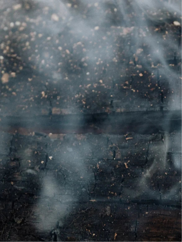 Verzachtende baardolie